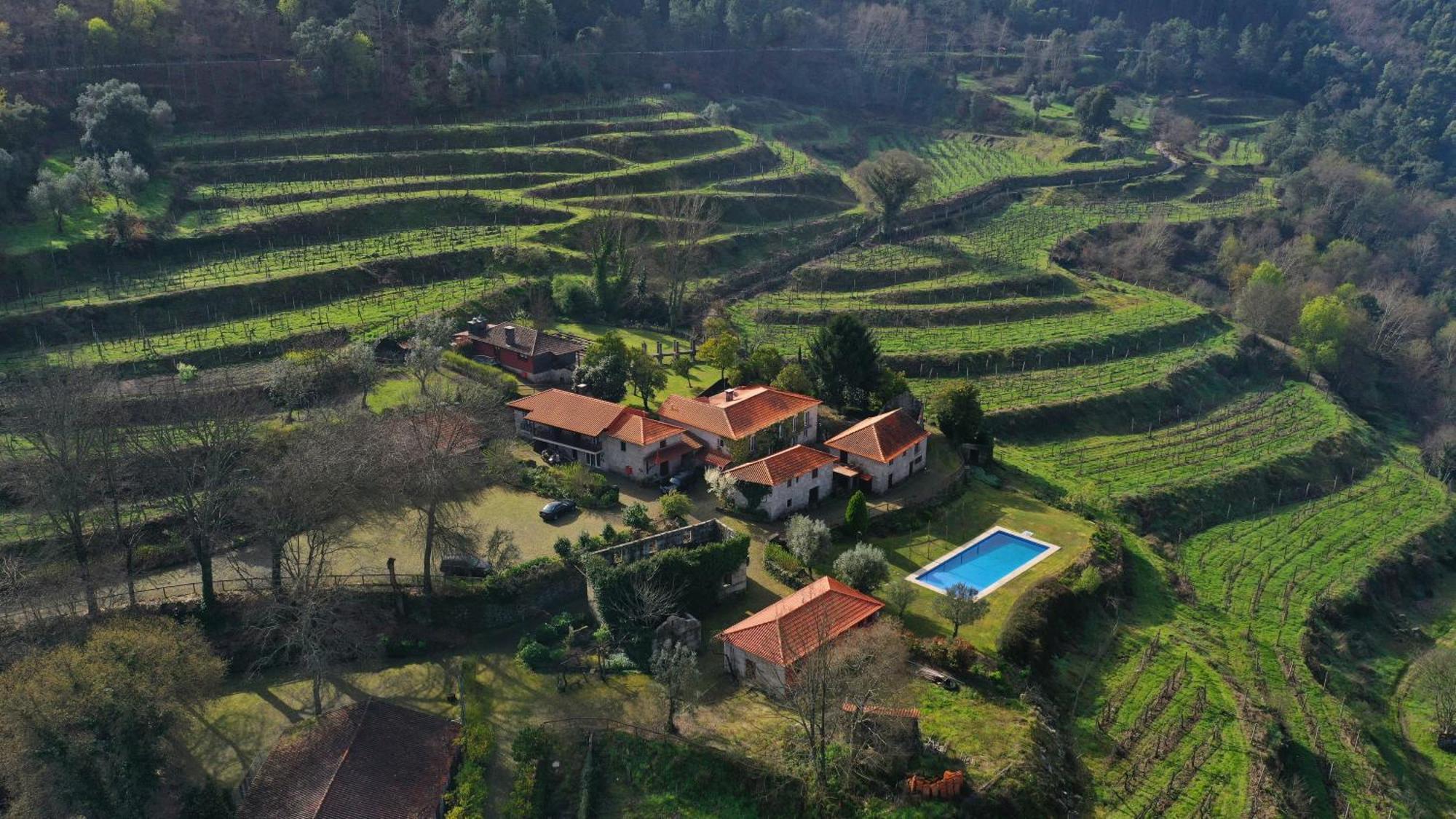 Quinta Da Pousadela - Agroturismo Guest House Amarante Exterior foto